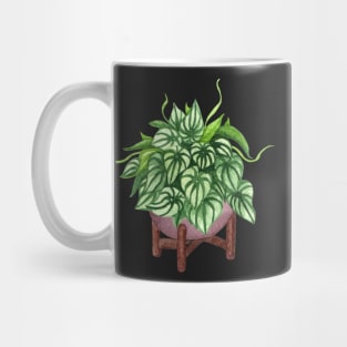 Peperomia argyreia watermelon Mug